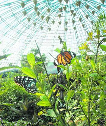 حديقة الفراشات كوالالمبور ماليزيا