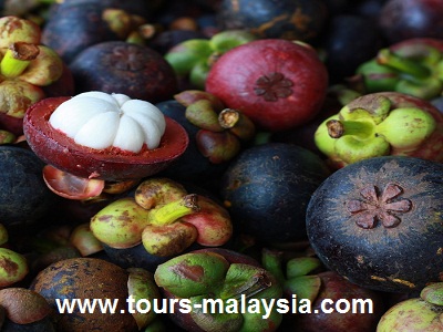 حديقة الفواكه الاستوائية في جزيرة بينانج ماليزيا