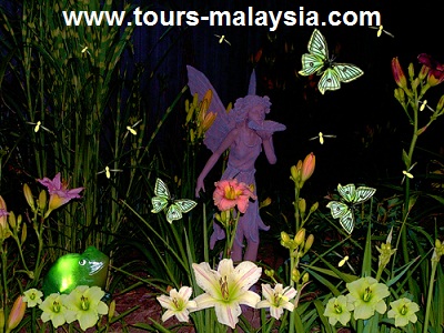 حديقة الفراشات المضيئة في سيلانجور ماليزيا