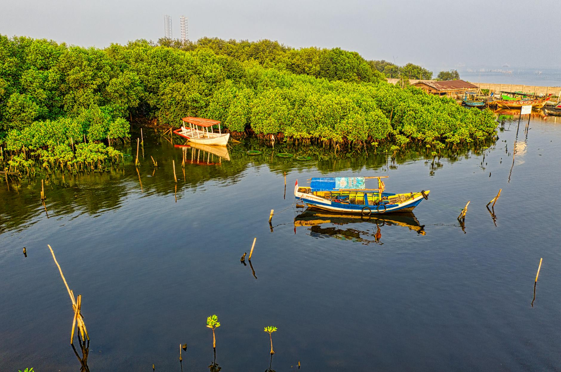 Tranquil mangrove river in Malaysia where firefly tours take visitors to see synchronous displays