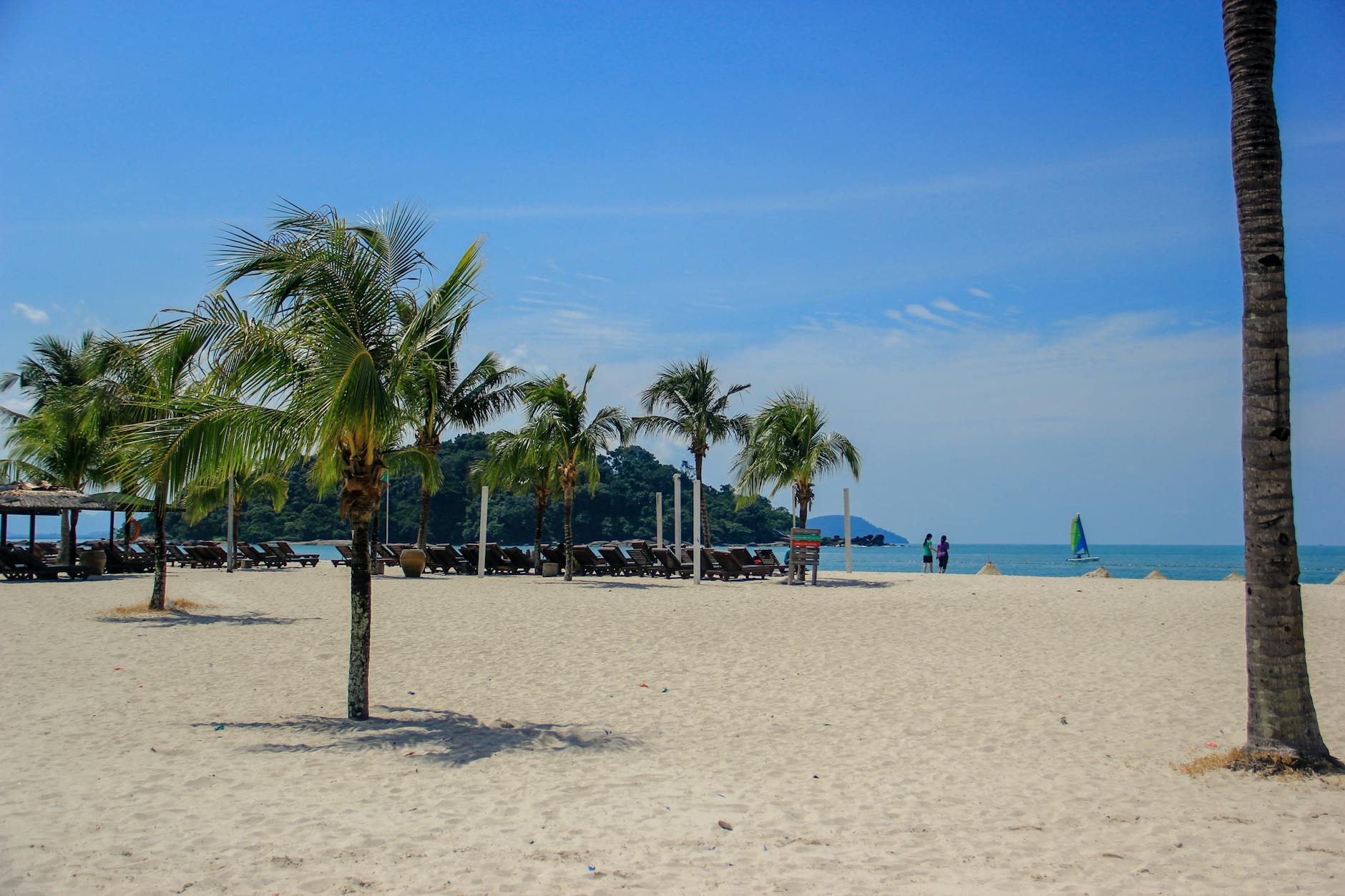 Beautiful tropical beach in Langkawi Malaysia with palm trees - best time to visit Malaysia