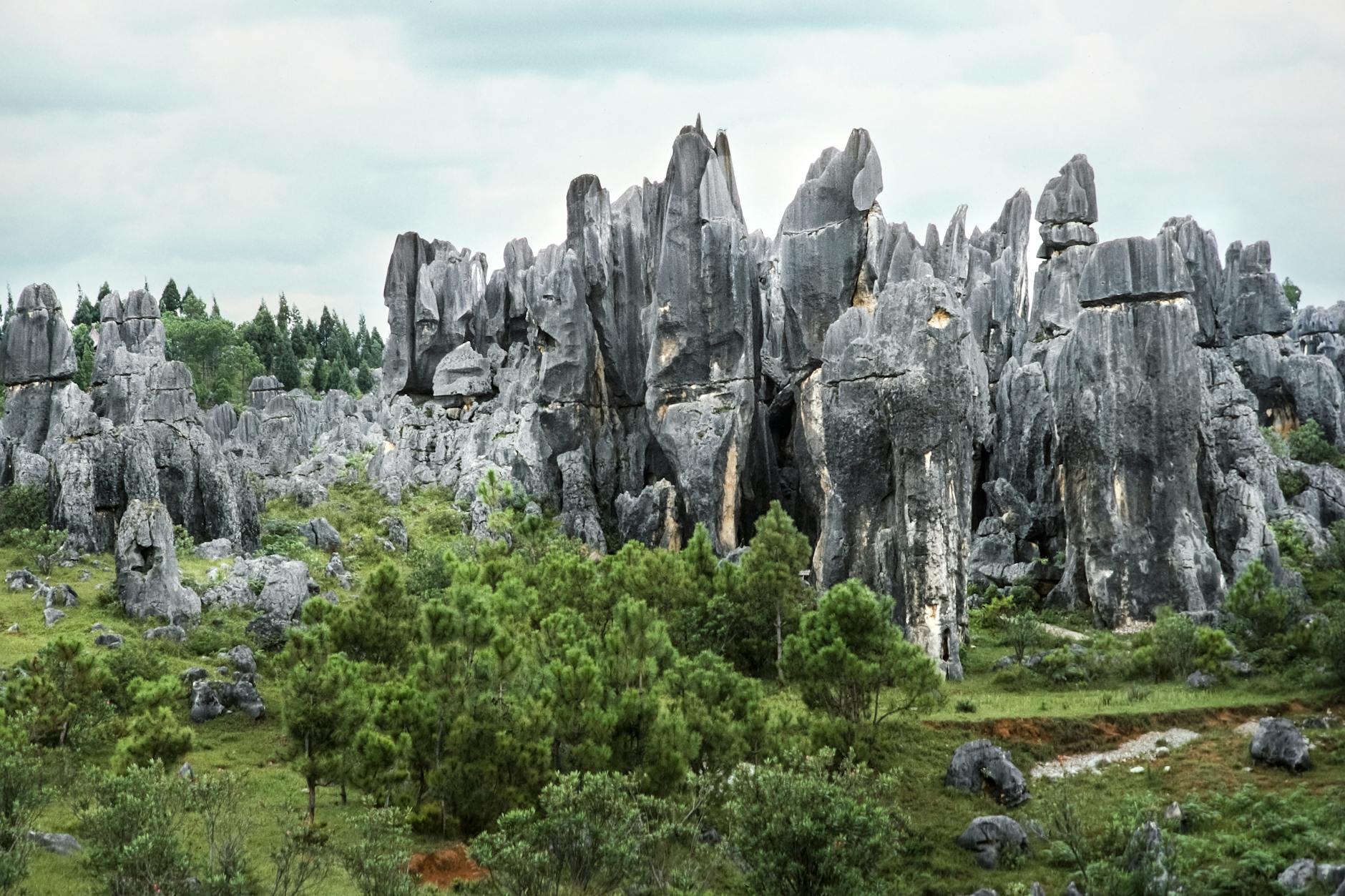 Dramatic limestone karst formations resembling the Pinnacles of Gunung Api at Mulu National Park