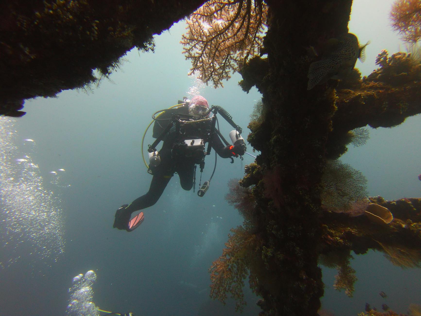 Scuba diver exploring colorful coral reef underwater in Malaysia tropical dive site