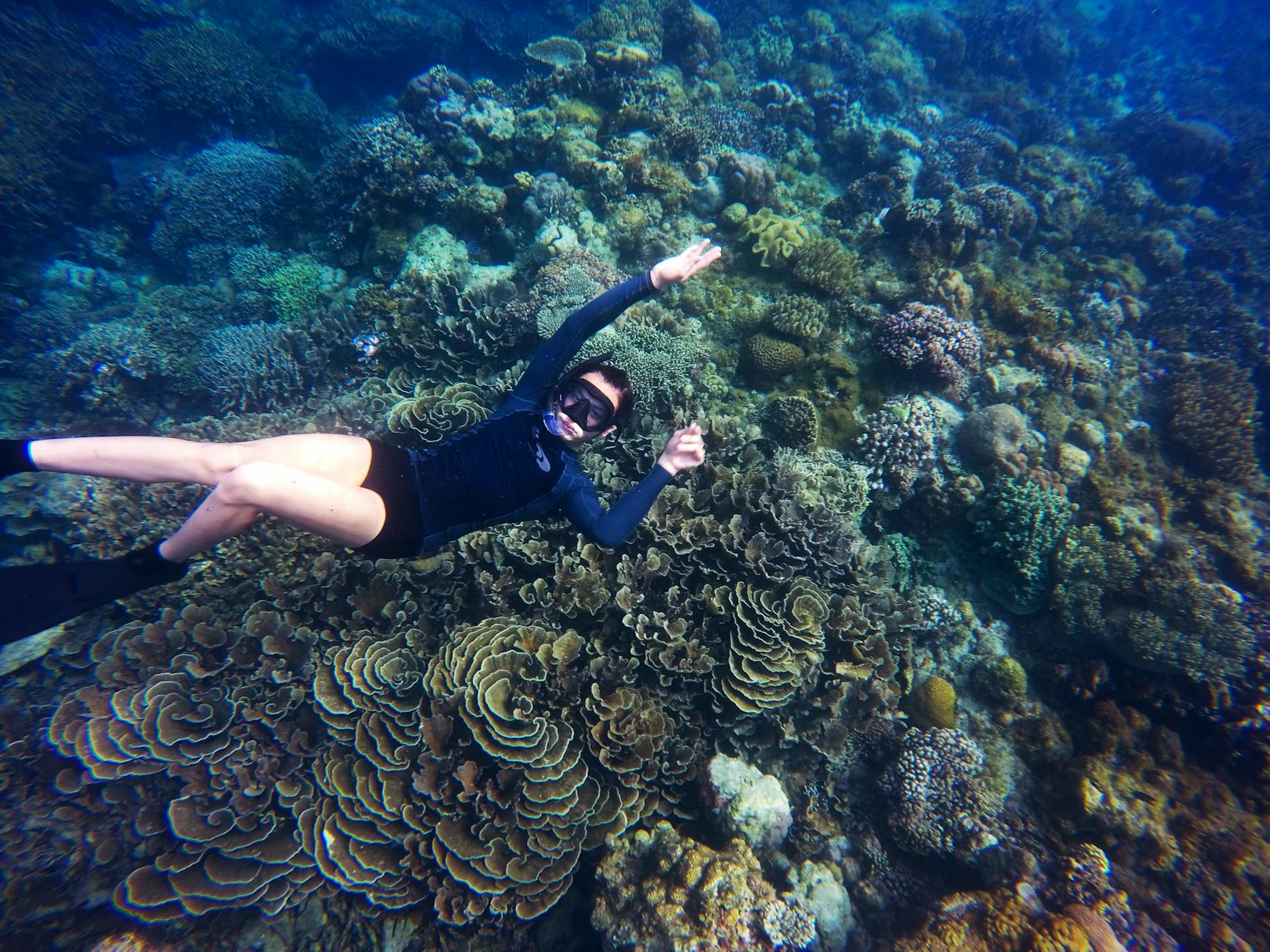 Snorkeling over a vibrant coral reef at a tropical island in Malaysia