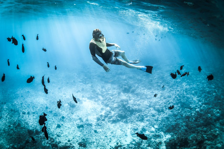 Snorkeling in Malaysia: Best Spots for Crystal Clear Waters and Vibrant Marine Life