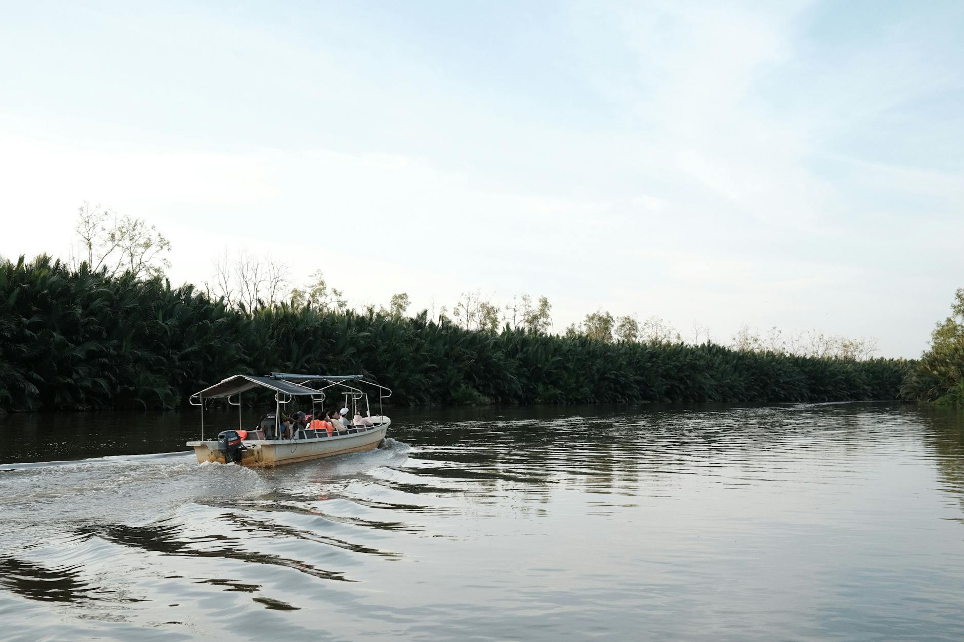 Boat cruising through lush jungle river landscape near Taman Negara National Park Malaysia
