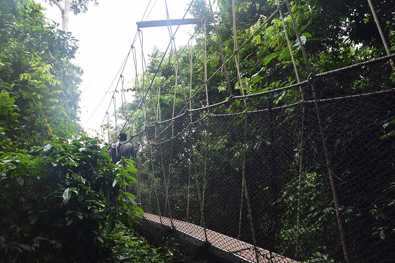 Tourists on an elevated canopy walkway above the rainforest in Malaysia