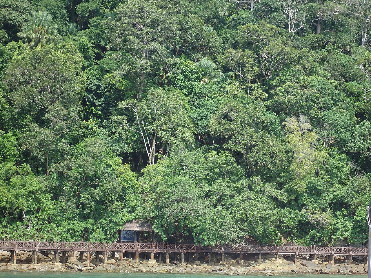 Langkawi Travel Guide: Best Beaches, Activities and Island Life (2026) — LANGKAWI TO PENANG ISLAND BOATING (6)