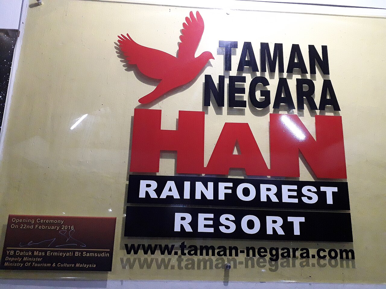 Ancient lowland rainforest interior at Taman Negara National Park Malaysia