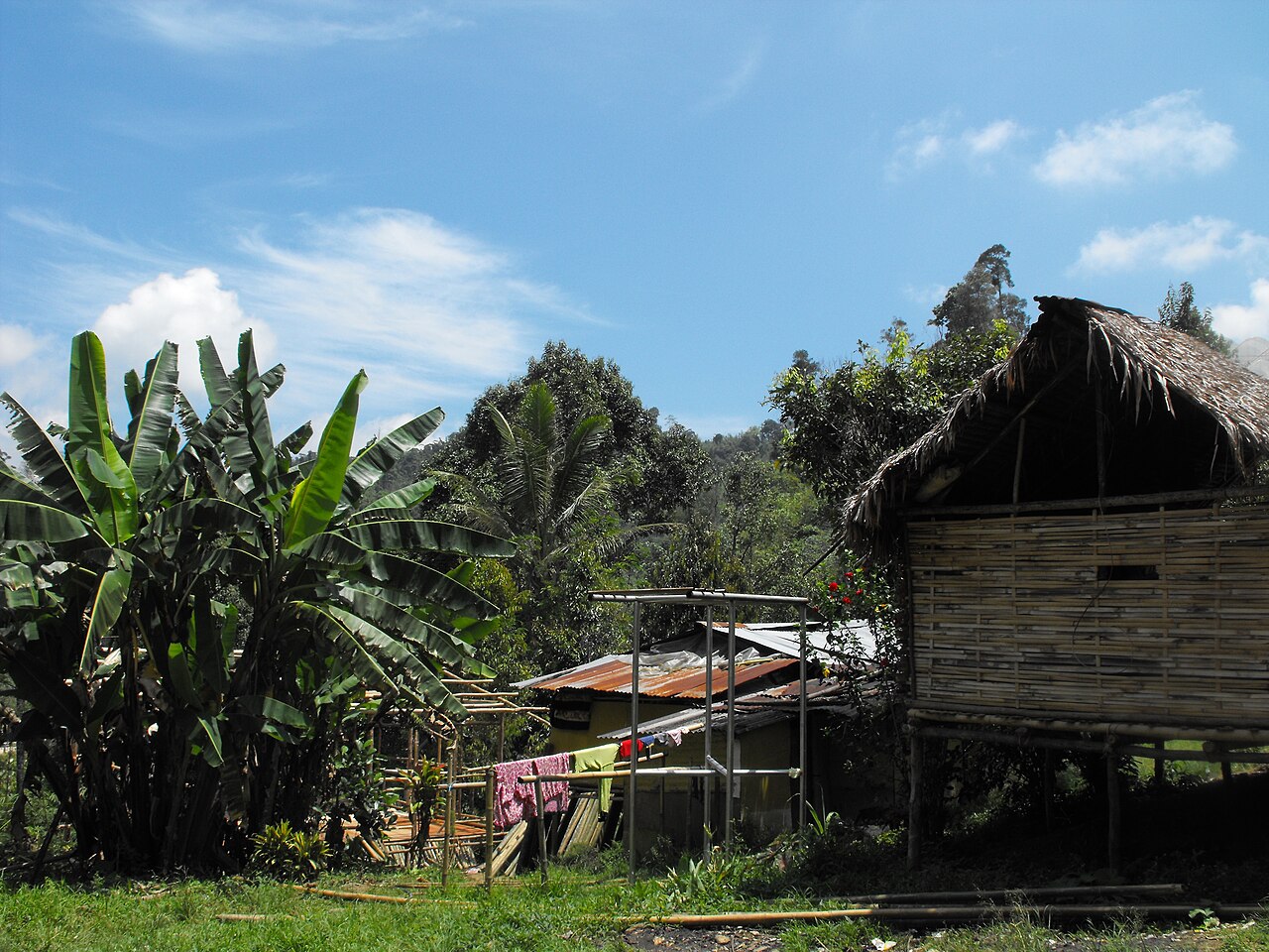 Timber houses in an Orang Asli village in the Cameron Highlands
