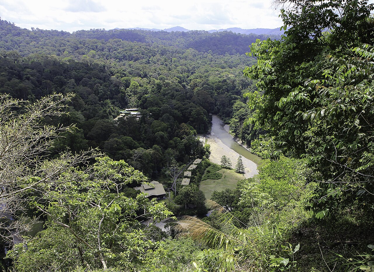 Borneo Rainforest Lodge accommodation building set among jungle at Danum Valley