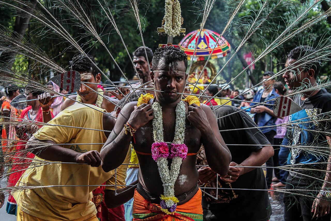 A devotee carrying a vel kavadi with skewers through the skin at Thaipusam