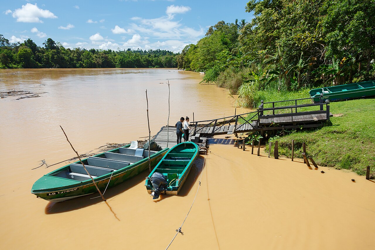 Wooden safari boats moored on the Kinabatangan River at Sukau, Sabah